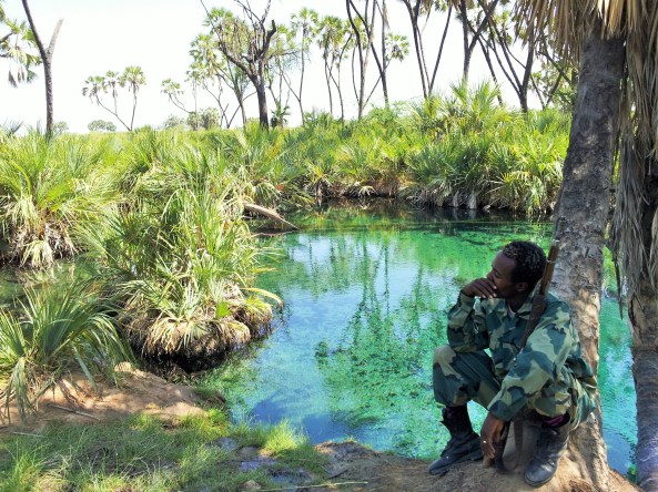 ©Ine Andreoli 20141027_082446 (2)