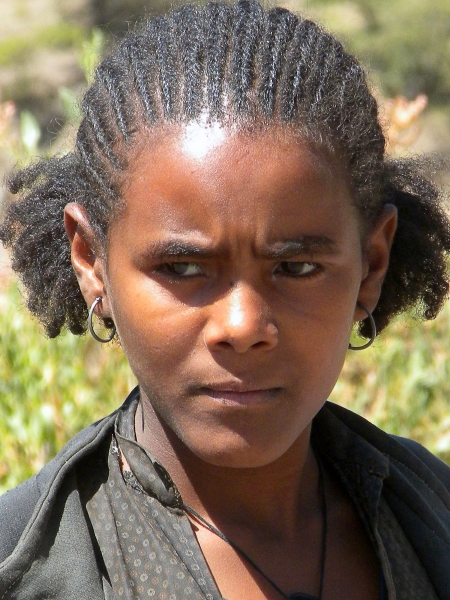 tigray.